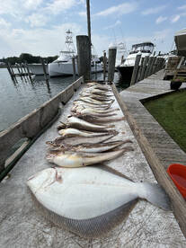 Hampton Bays Report Photo 1