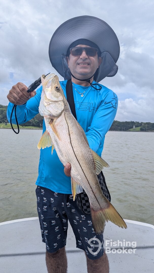 Gamboa Report Photo 0