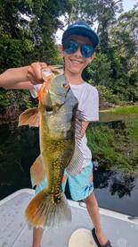 Gamboa Report Photo 1
