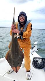 Southern California Report Photo 2