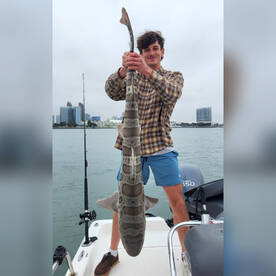 Point Loma Report Photo 1