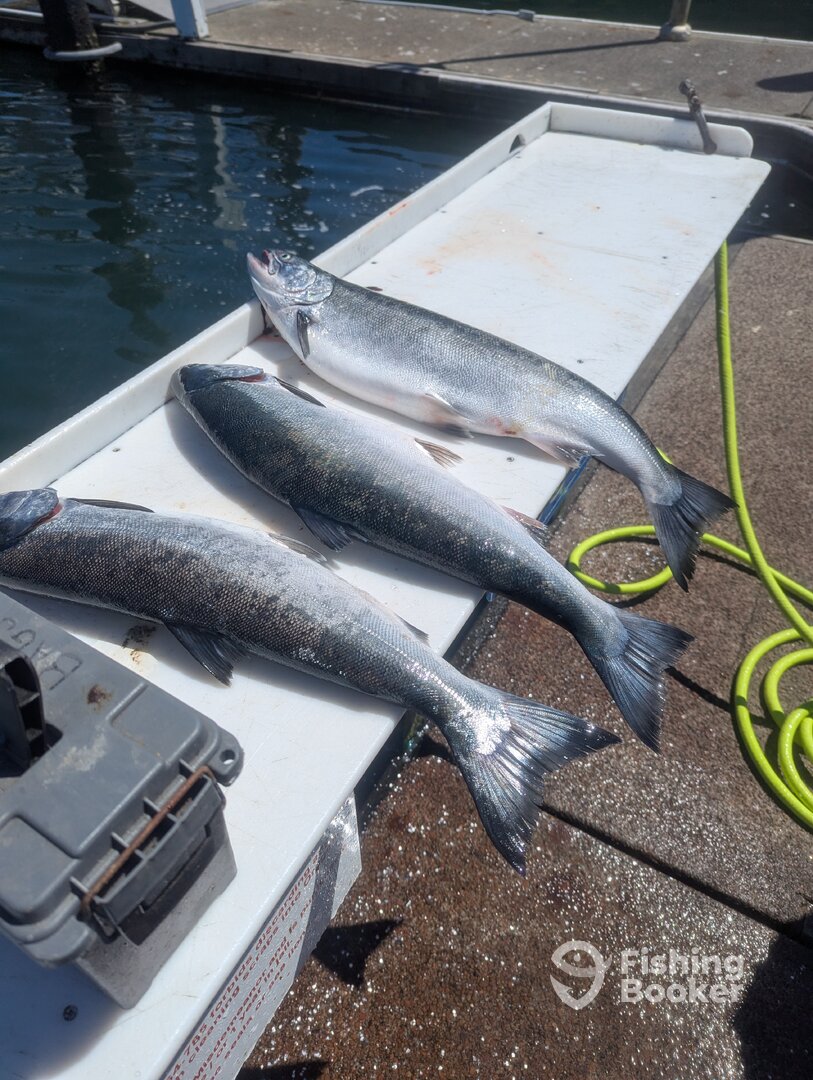 Winchester Bay Report Photo 0