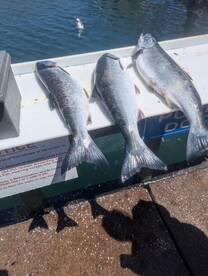 Winchester Bay Report Photo 1