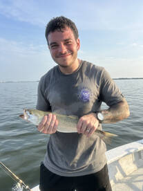 Beaufort Report Photo 2