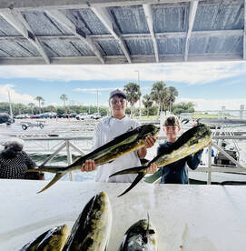 Mahi was chewing good