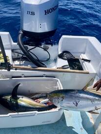 San Jose del Cabo Report Photo 2