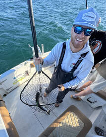 Big king salmon have arrived