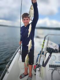 Perch 4-5X