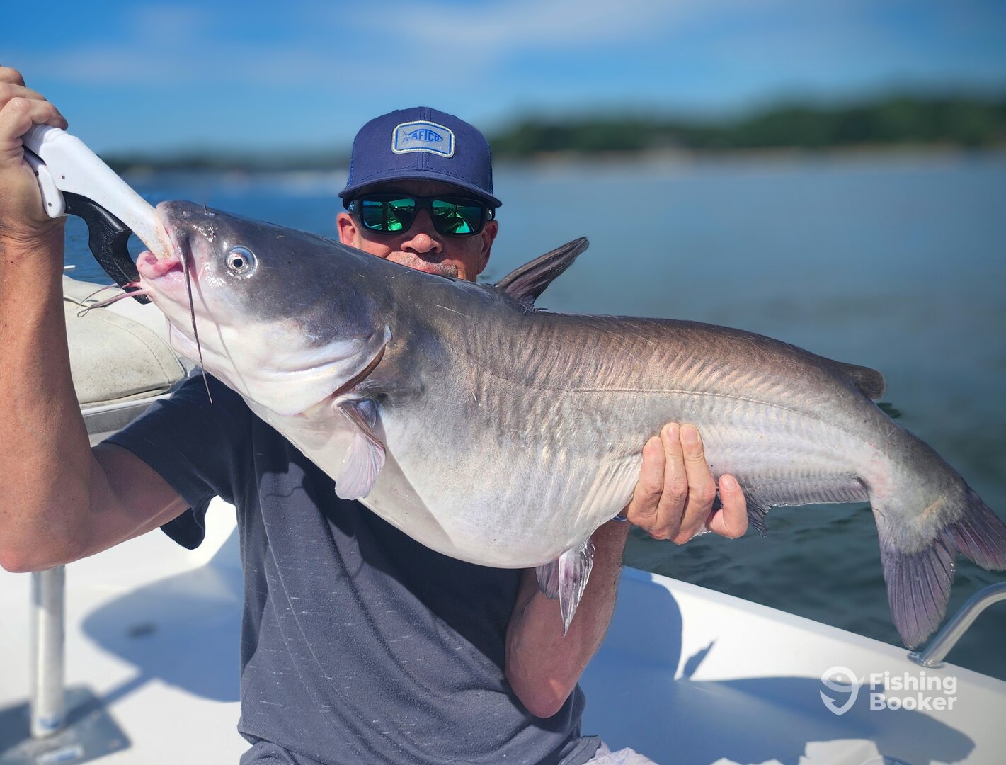 Trophy LKW Blue Catfish