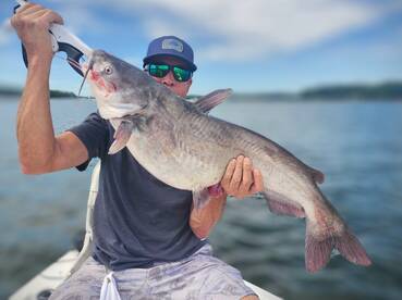 Another Trophy Catfish
