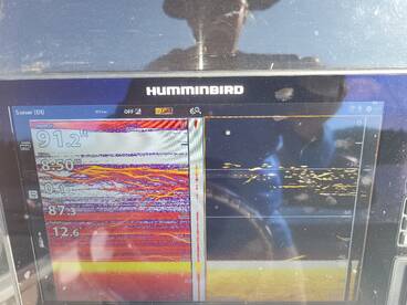 Gainesville Report Photo 1