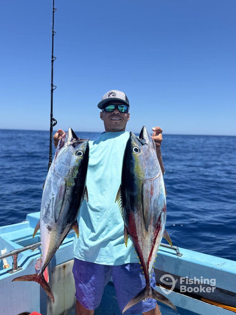 San Jose del Cabo Report Photo 0