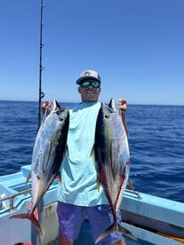 San Jose del Cabo Report Photo 1