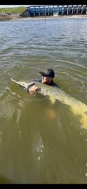 Harris County Report Photo 2