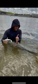 Harris County Report Photo 3