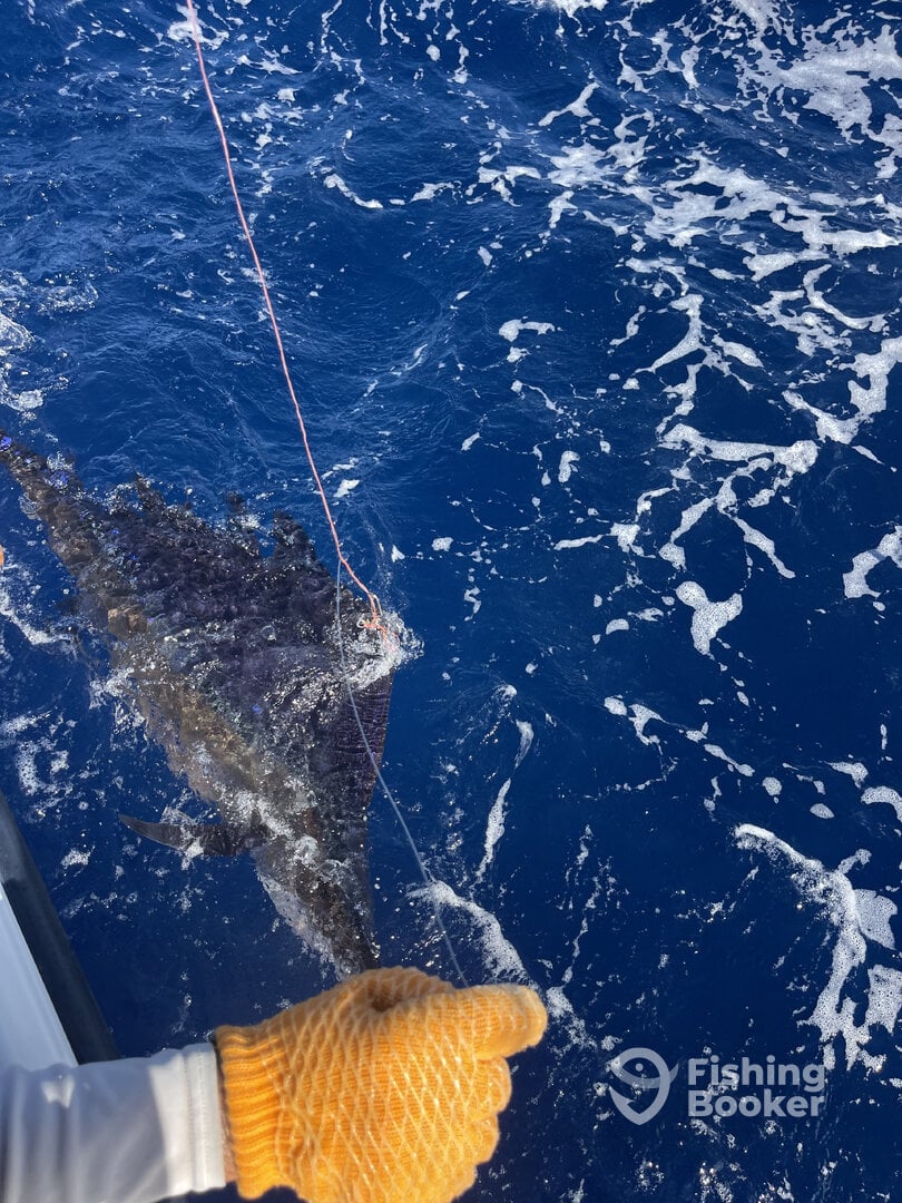 Bahamas Report Photo 0