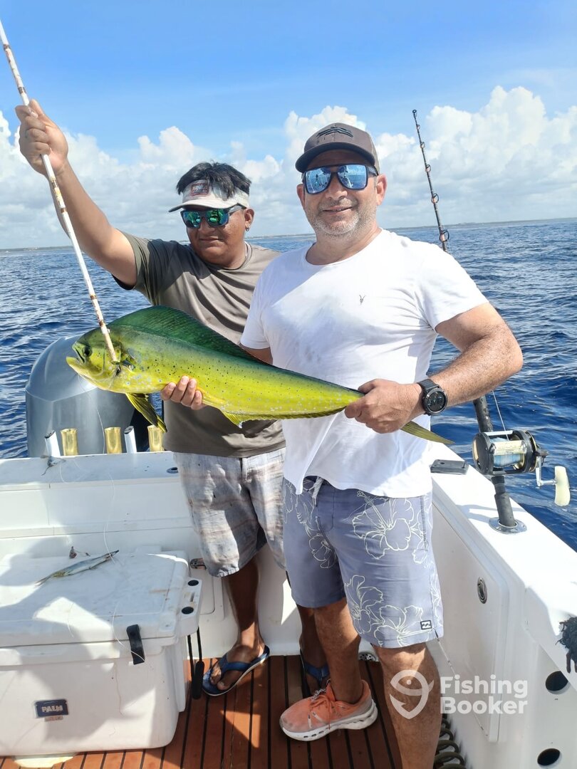 Playa Del Carmen Report Photo 0