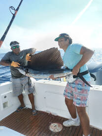 Playa Del Carmen Report Photo 2