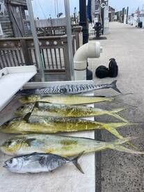 Key West Report Photo 2