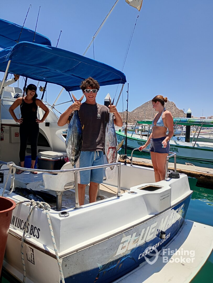 Cabo San Lucas Report Photo 0