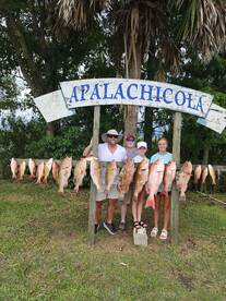 Red Grouper 