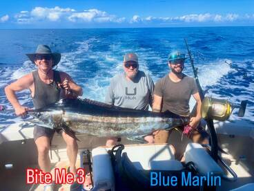 Fun on the Bite Me 3