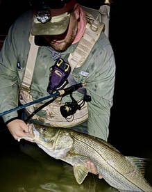 Palmetto Report Photo 1