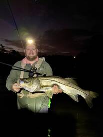 Snook bite has been on FIRE