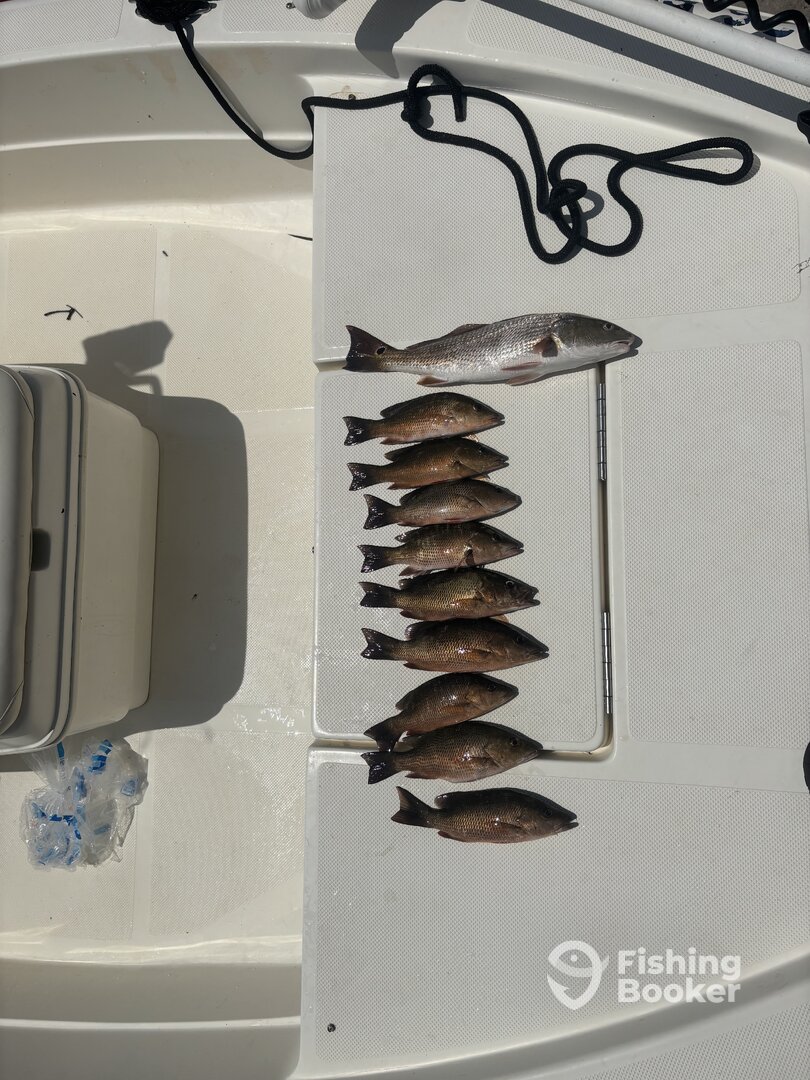 Punta Gorda Report Photo 0