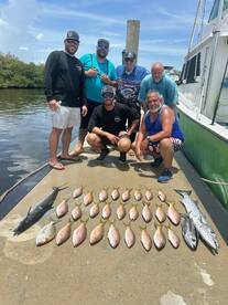 Dania Beach Report Photo 2