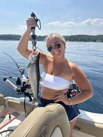 Salmon showing up in the bays