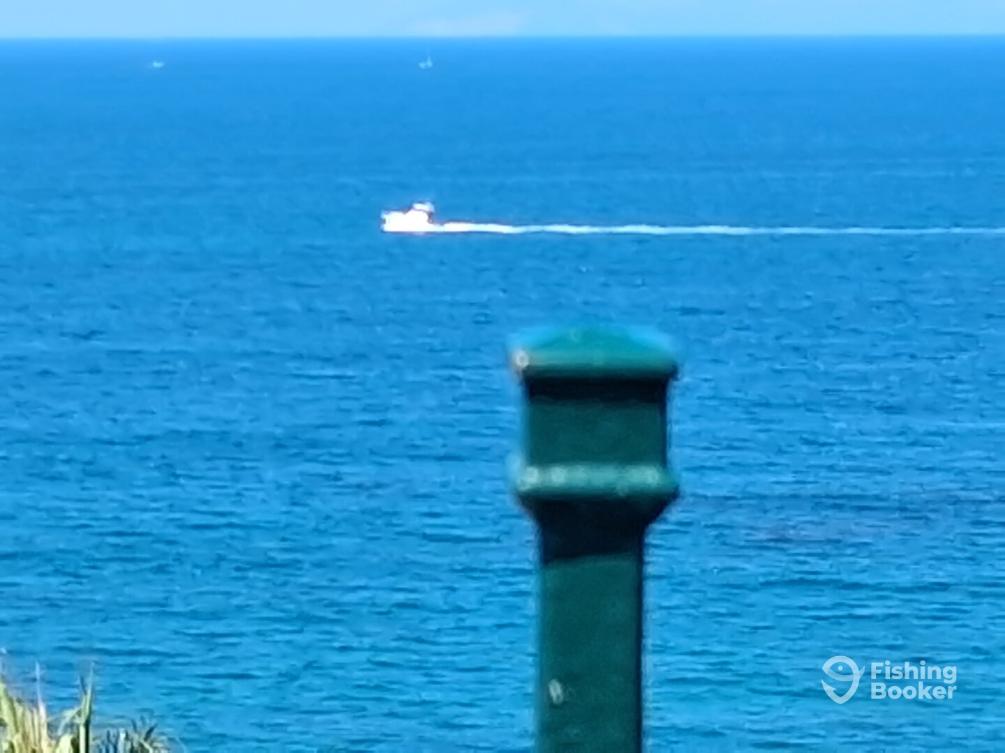 Dana Point Report Photo 0