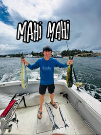 Mahi for dinner