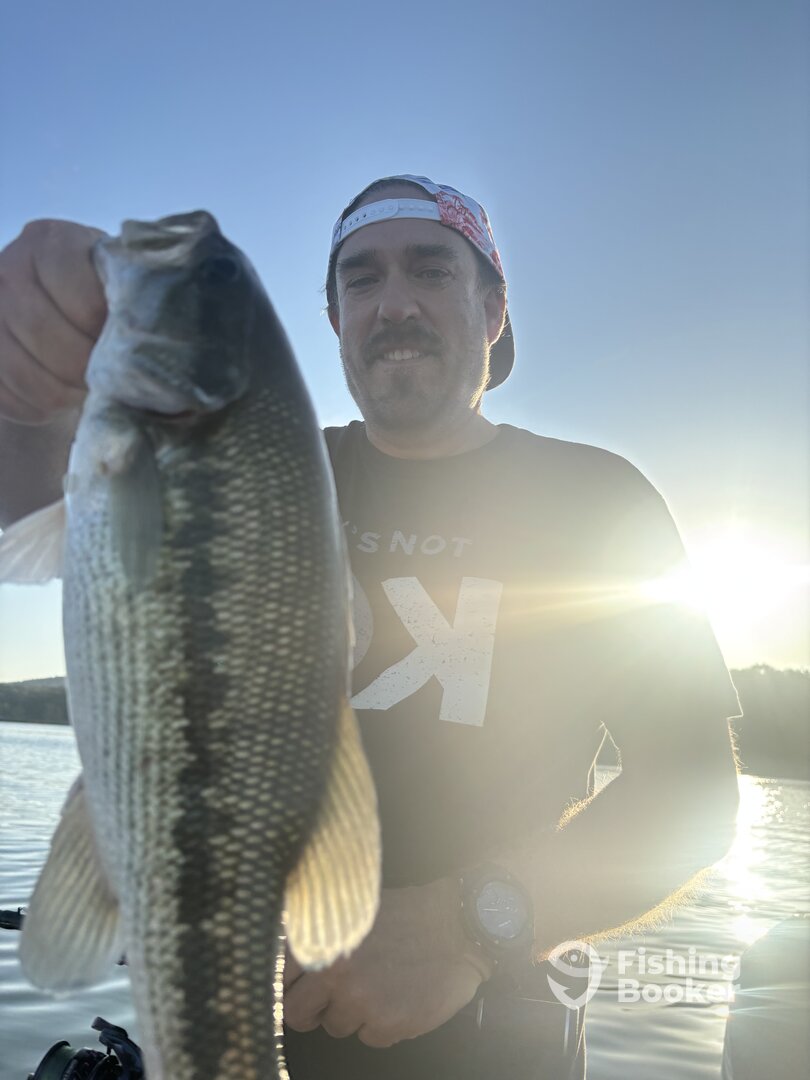 Branson Report Photo 0