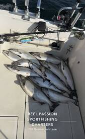 Big Numbers Hitting the Deck Lately!!