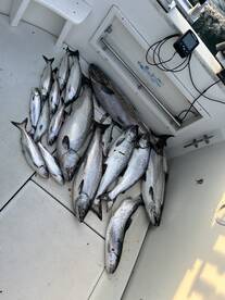 Sturgeon Bay Report Photo 1