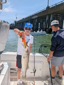 Ocean City Report Photo 1