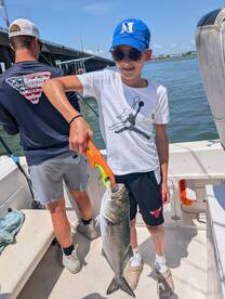 Ocean City Report Photo 2