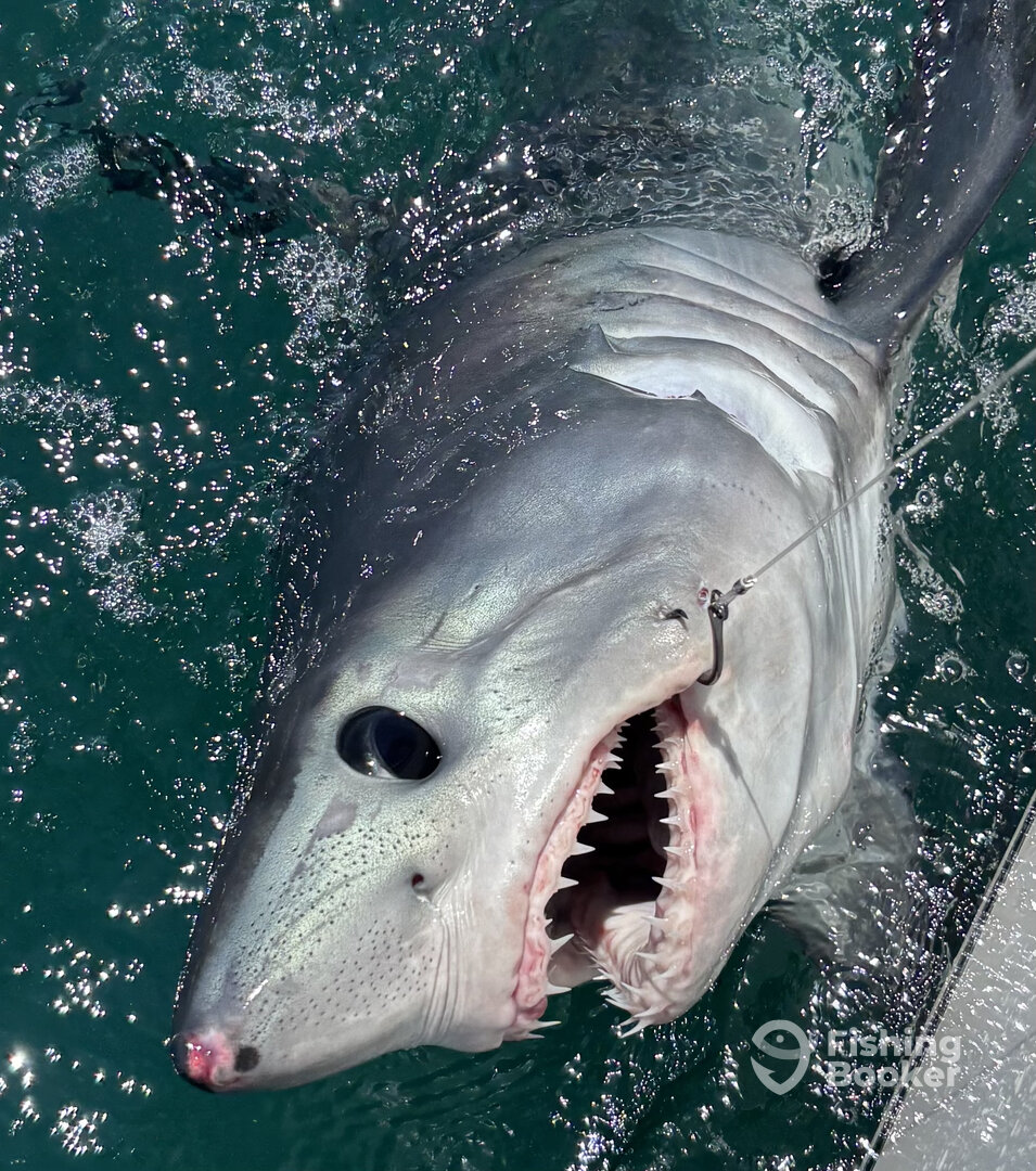 Scituate Report Photo 0