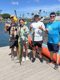 Haleiwa Report Photo 2