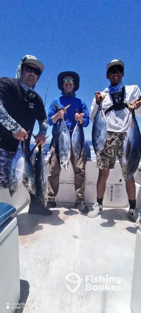 San Jose del Cabo Report Photo 0