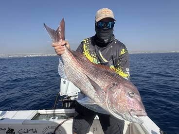 Arona Report Photo 2