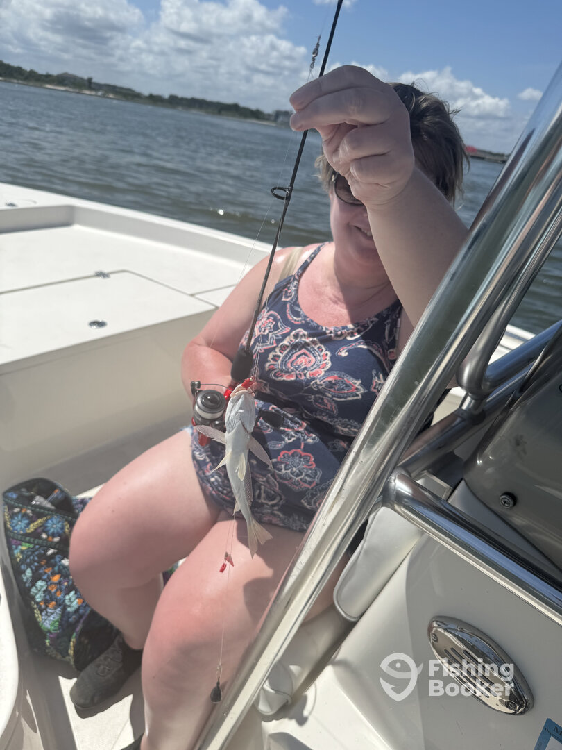 Ocean City Report Photo 0