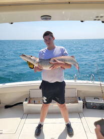 St. Clair Shores Report Photo 3
