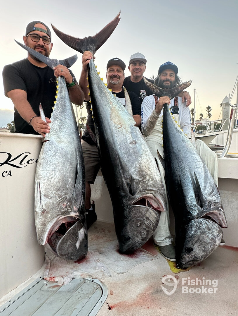 San Pedro Report Photo 0