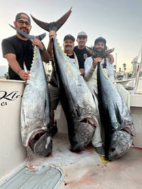 San Pedro Report Photo 1