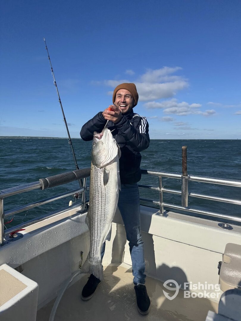 Montauk Report Photo 0