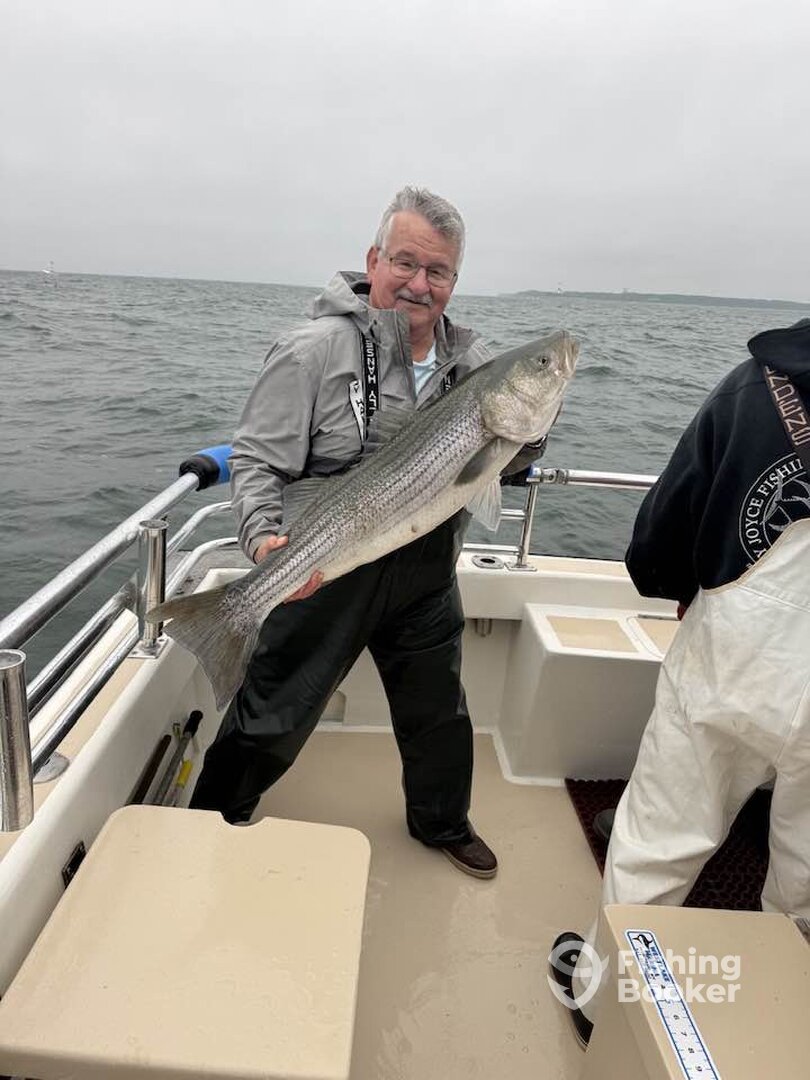 Montauk Report Photo 0