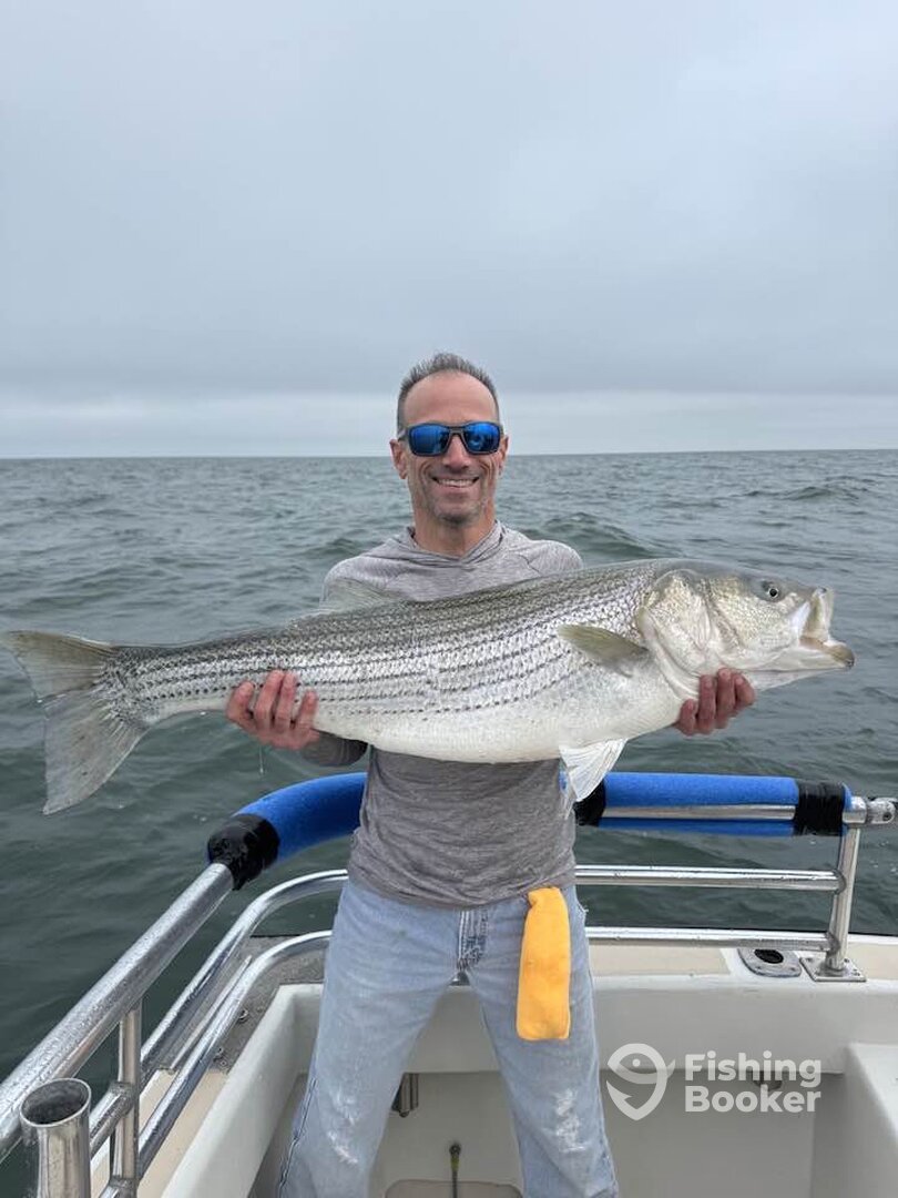 Montauk Report Photo 0