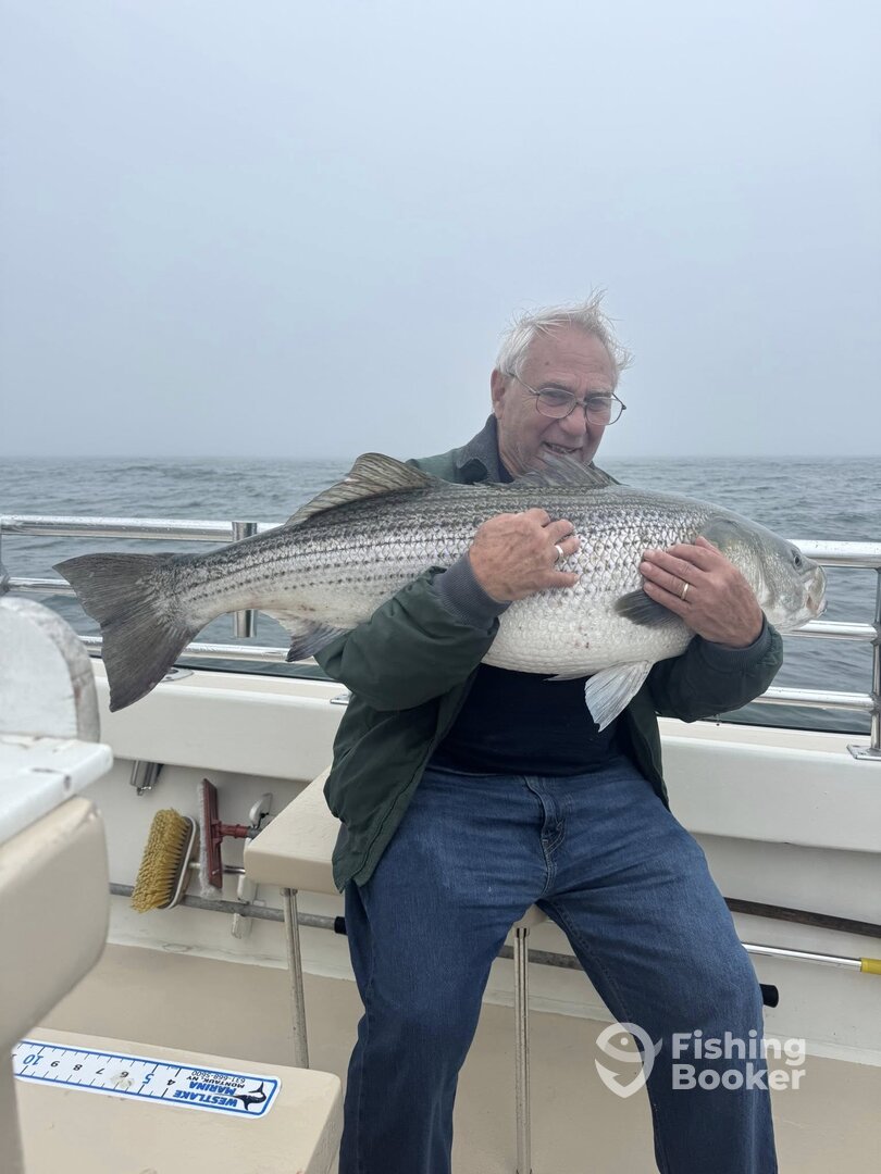 Montauk Report Photo 0